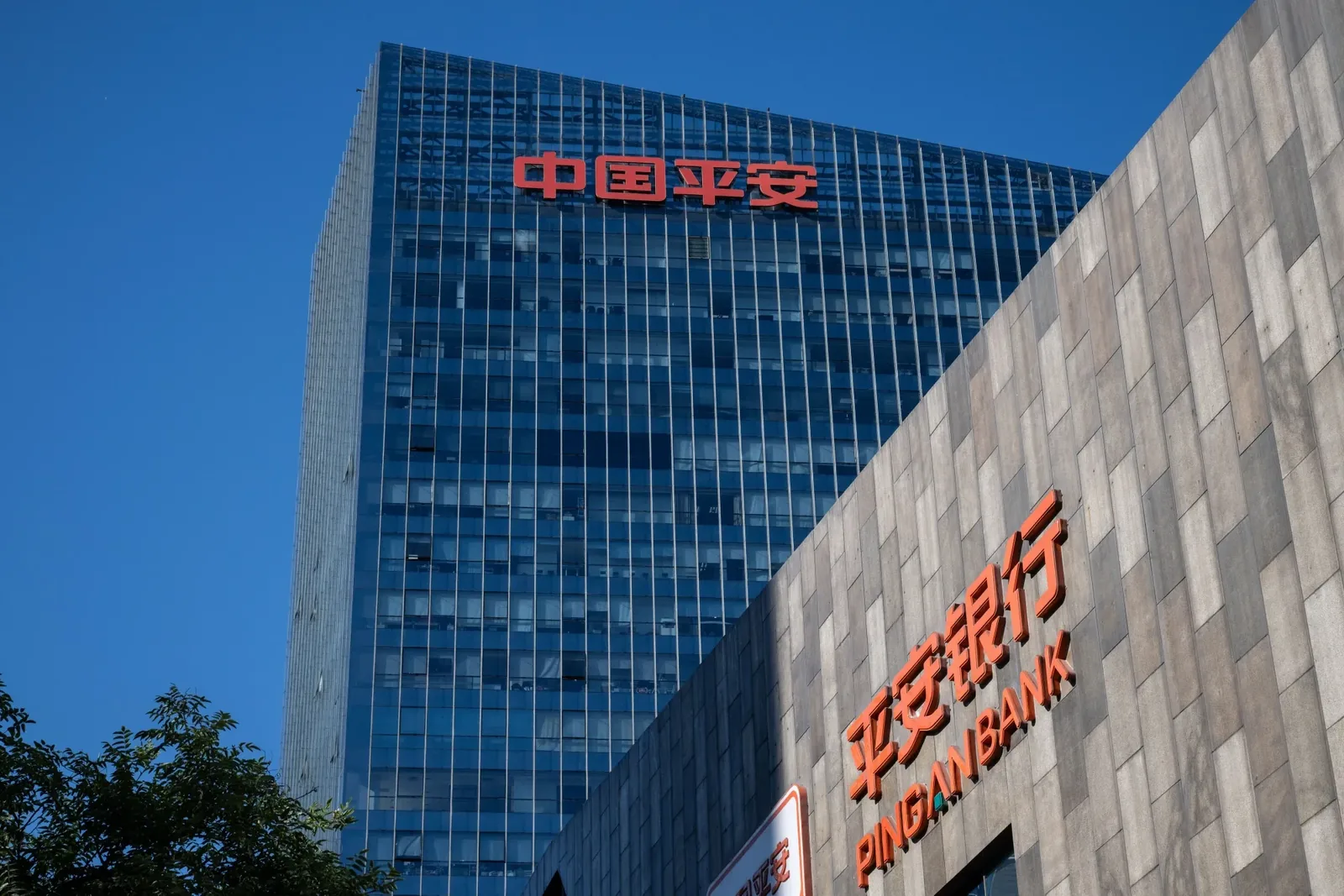 147 A-Share Firms to Distribute 34.8 Billion Yuan in Pre-Holiday Dividends