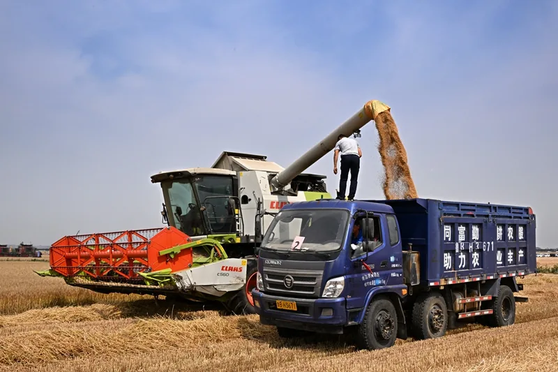China’s Agriculture Ministry Urges Full Autumn Harvest Effort and Super El Niño Vigilance