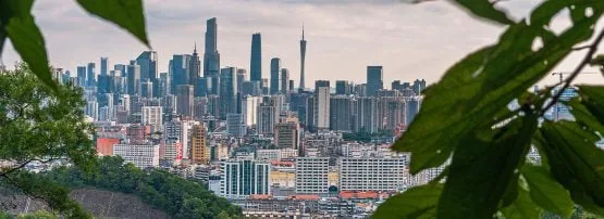 Guangdong fixed asset investment plunges 10.7% in first eight months of 2026
