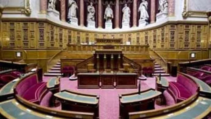 Far-right RN secures first-ever Senate group in historic French election breakthrough