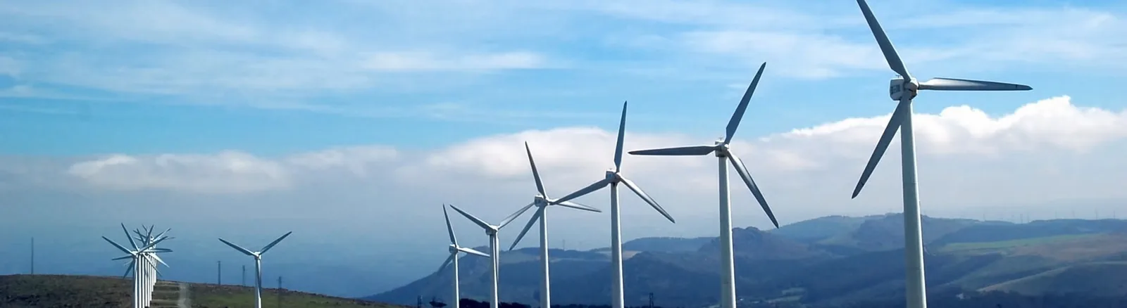 Jixin Technology Hits Daily Limit Up on Wind Power Concept, Net Inflow of 236 Million Yuan