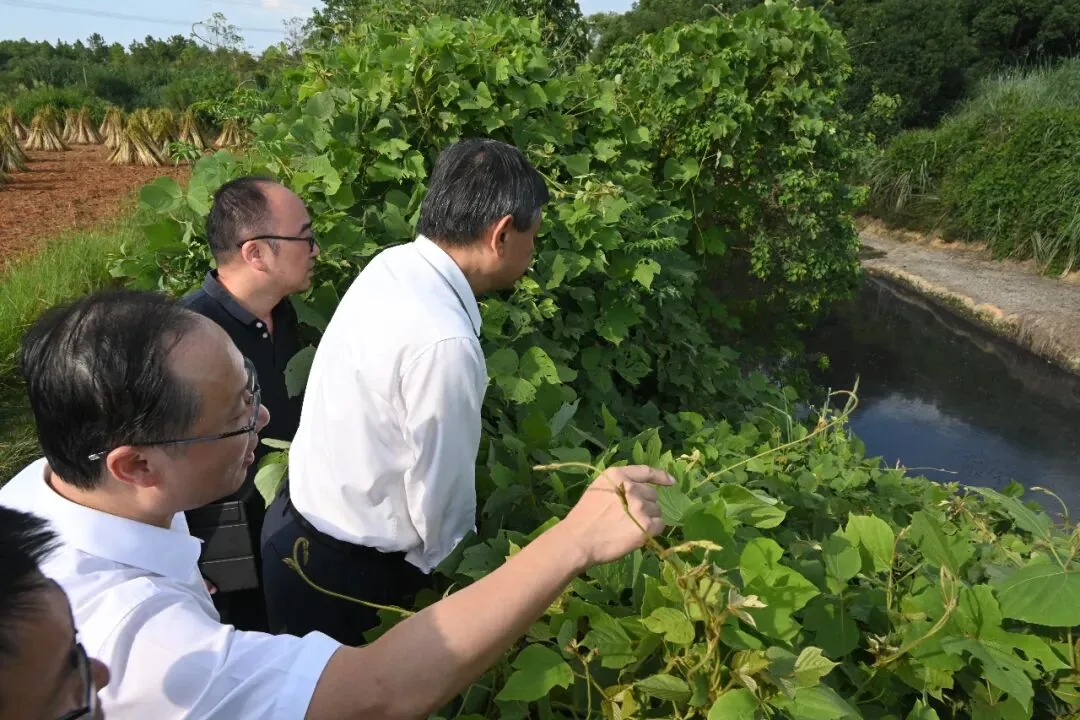China launches multi-agency crackdown on environmental monitoring data fraud