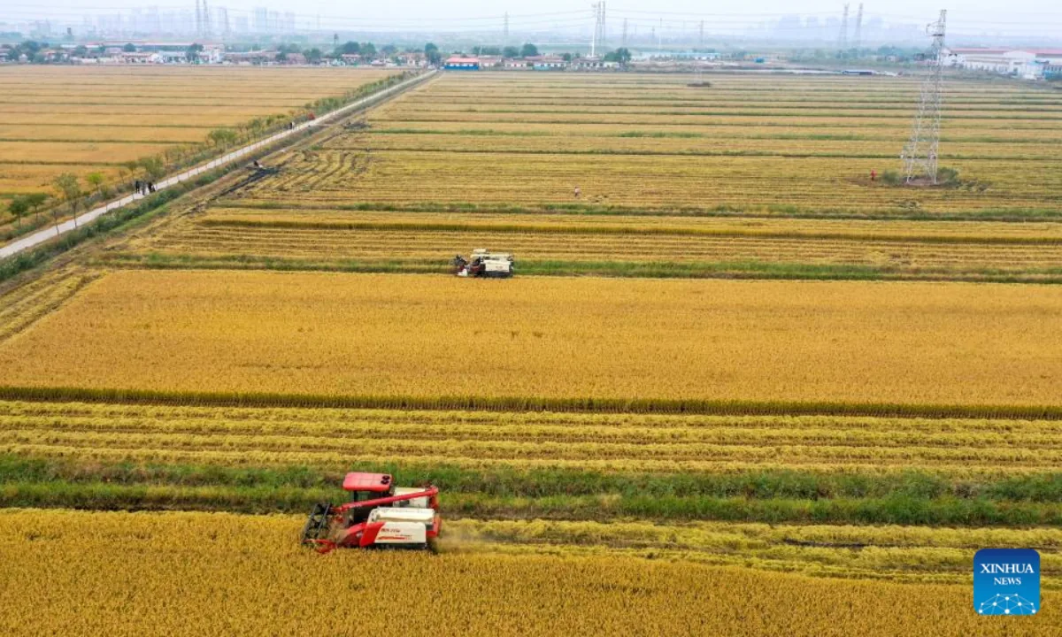 China sets 2030 targets for agricultural insurance penetration, density, and tech investment