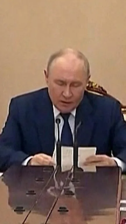 Putin seizes Nestlé, Auchan, and Leroy Merlin assets in Russia via decree