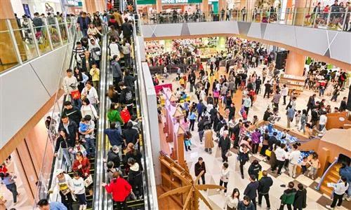 China's online retail sales grow 4.6% in first eight months of 2026