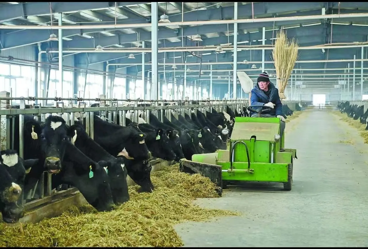 Southern Dairy secures Beijing Stock Exchange IPO approval, plans national expansion