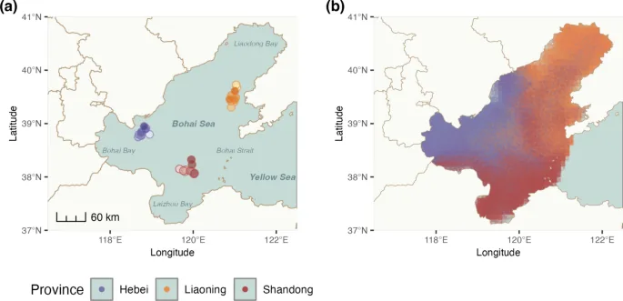China's 2025 Fishery Bulletin Reports Stable Ecology, Declining Pollution in Key Waters
