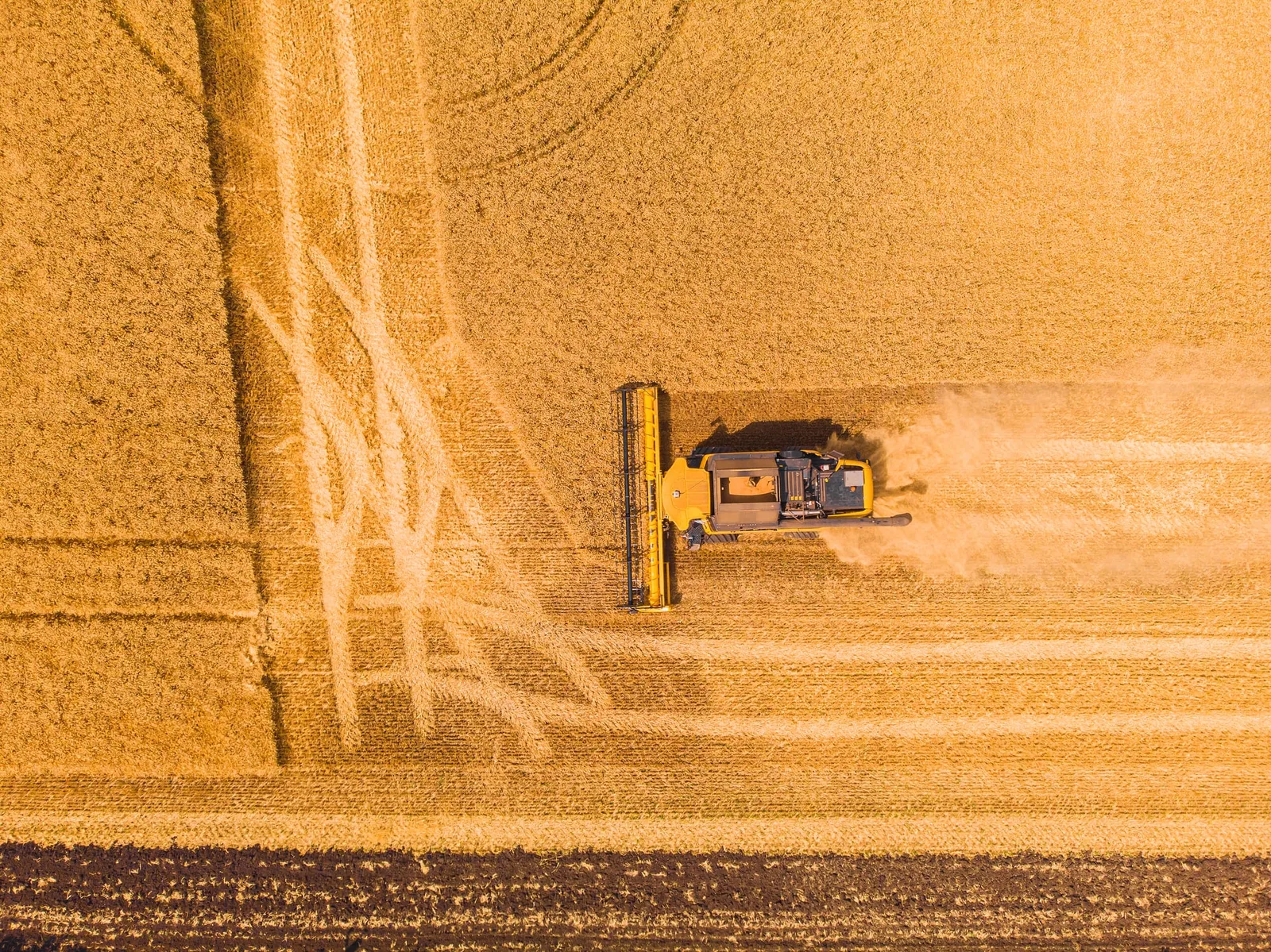 China sets 2030 grain capacity target of 1.45 trillion jin in new five-year plan