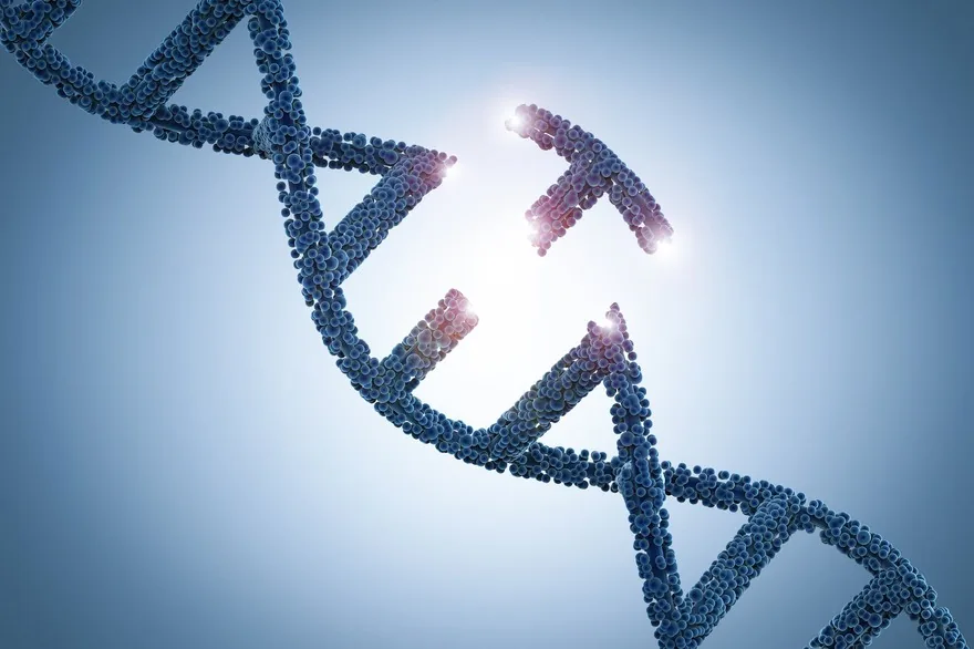 Berry Genomics hits daily limit up on September 24, driven by precision medicine and gene sequencing themes