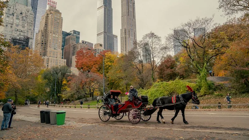 New York City Council Votes to Phase Out Horse-Drawn Carriages by 2028