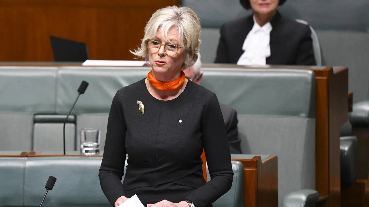Australian MP Helen Haines critically injured after being hit by car outside Wangaratta office