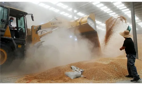 China assures food security is reliably guaranteed despite super El Niño risks