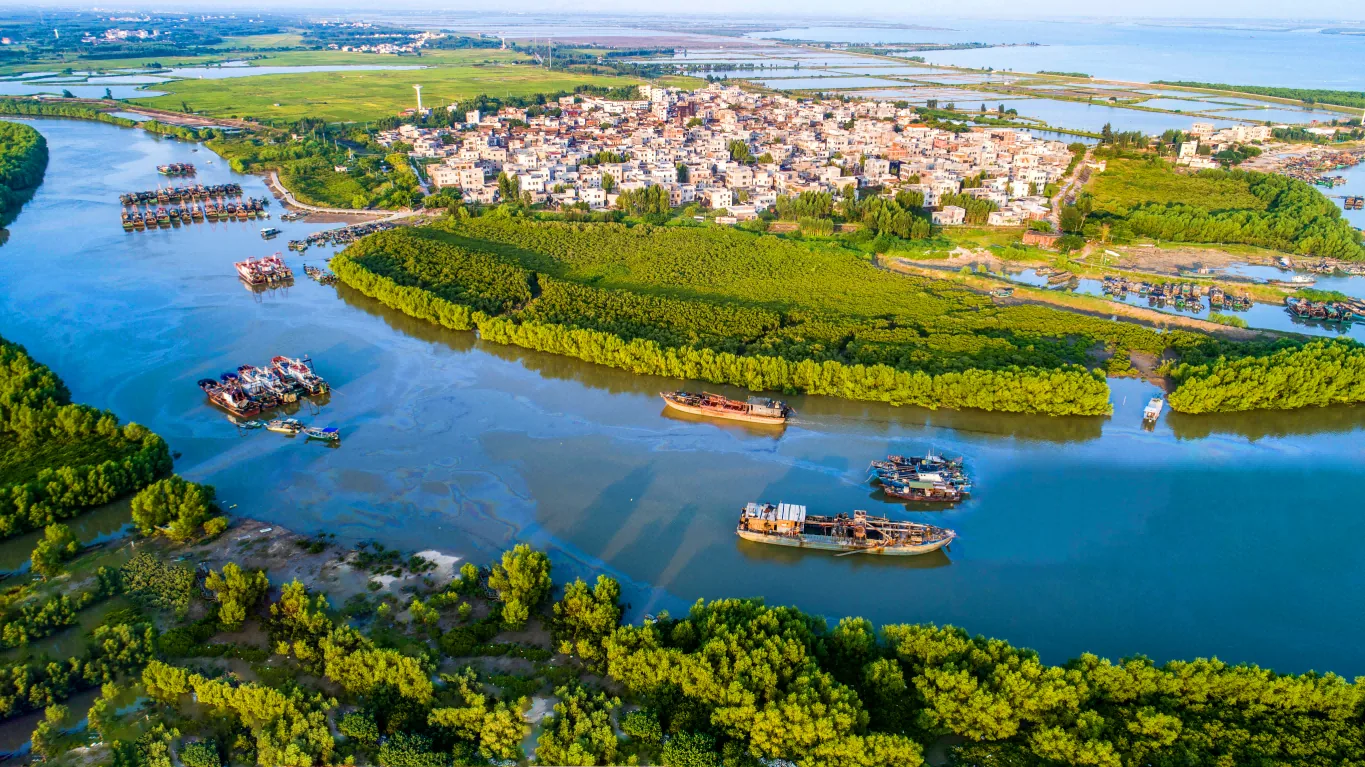 Guangfa Bank deploys over 480 billion yuan in loans for Guangdong's county-town-village development project