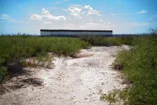 Federal Judge Halts Trump Administration's $1.7 Billion Border Project in Big Bend National Park
