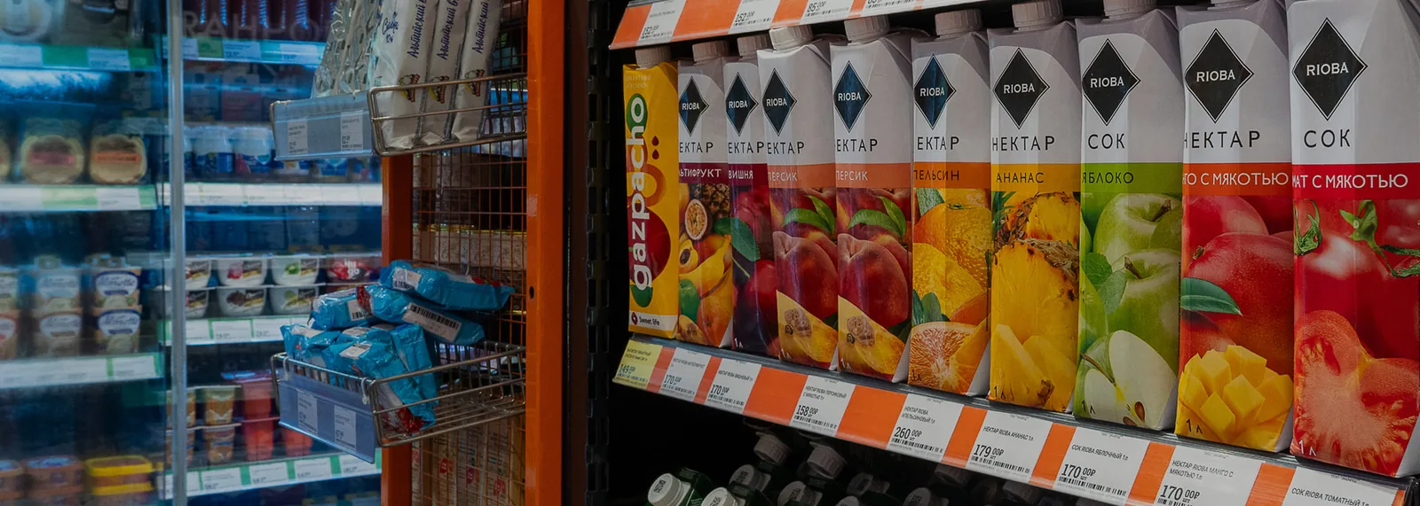 Putin places German retailer Metro AG’s Russian assets under temporary state control